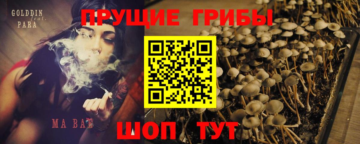 Галлюциногенные грибы MAGIC MUSHROOMS Славянск-на-Кубани
