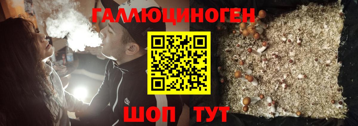 Псилоцибиновые грибы Magic Shrooms  Галлюциногенные грибы мухоморы  Вход с VPN  Славянск-на-Кубани 